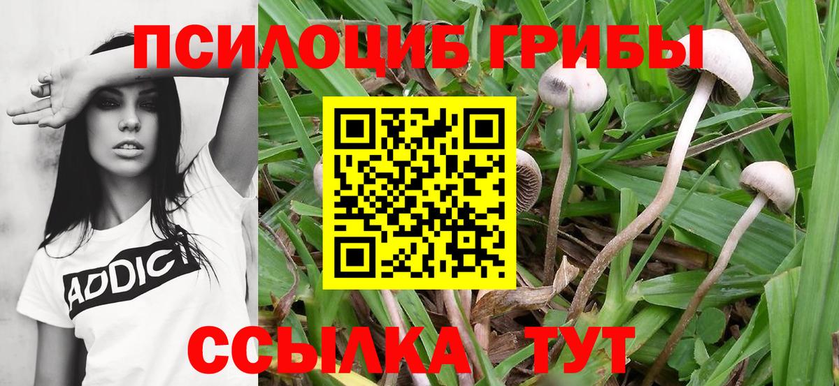 Галлюциногенные грибы мухоморы  Галлюциногенные грибы ЛСД  дарнет шоп  Чебаркуль  Вход с VPN 